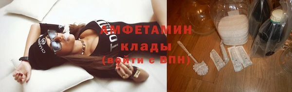 прущие грибы Богородск