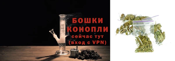 прущие грибы Богородск