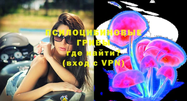 прущие грибы Богородск