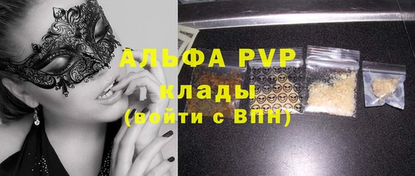 прущие грибы Богородск