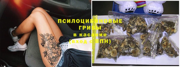 прущие грибы Богородск