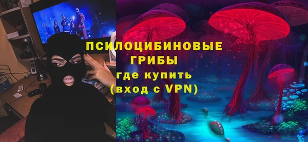 прущие грибы Богородск